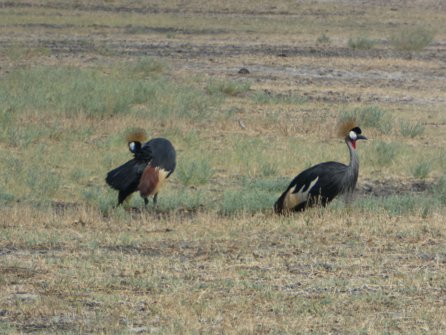 4 DAYS LIUWA NATIONAL PARK&nbsp;